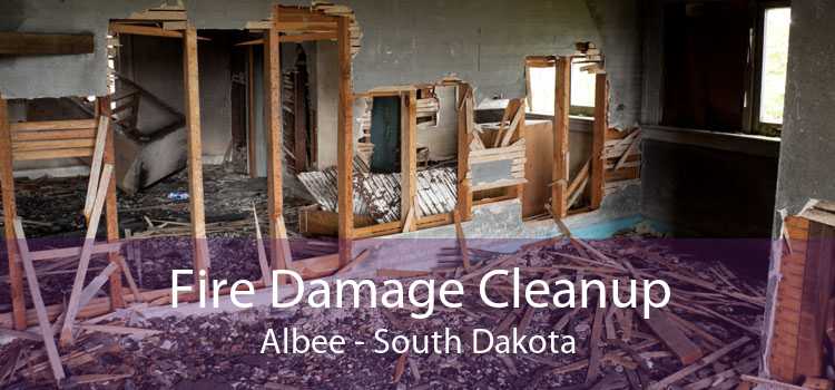 Fire Damage Cleanup Albee - South Dakota