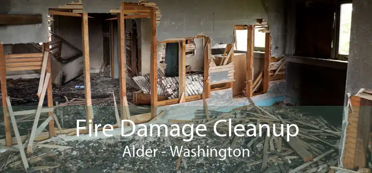 Fire Damage Cleanup Alder - Washington