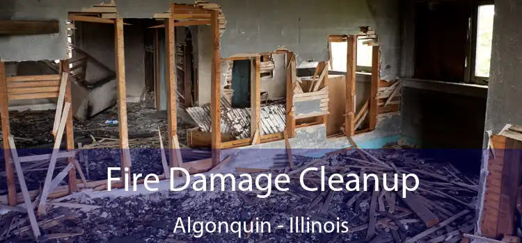 Fire Damage Cleanup Algonquin - Illinois