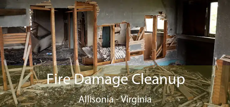 Fire Damage Cleanup Allisonia - Virginia