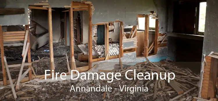 Fire Damage Cleanup Annandale - Virginia