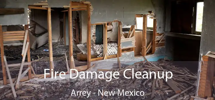 Fire Damage Cleanup Arrey - New Mexico