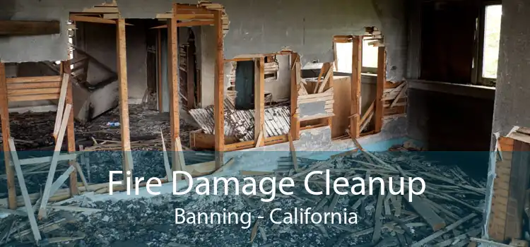 Fire Damage Cleanup Banning - California