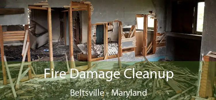 Fire Damage Cleanup Beltsville - Maryland