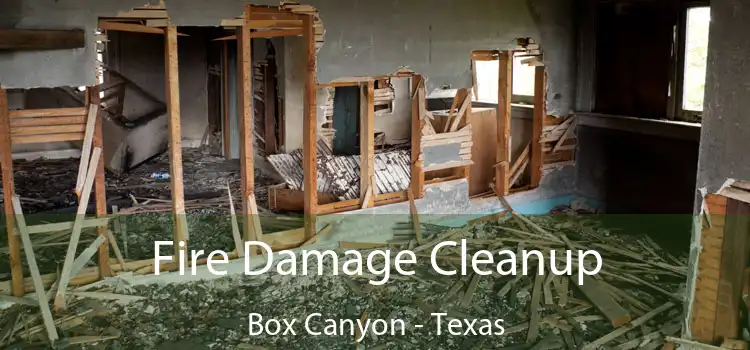 Fire Damage Cleanup Box Canyon - Texas