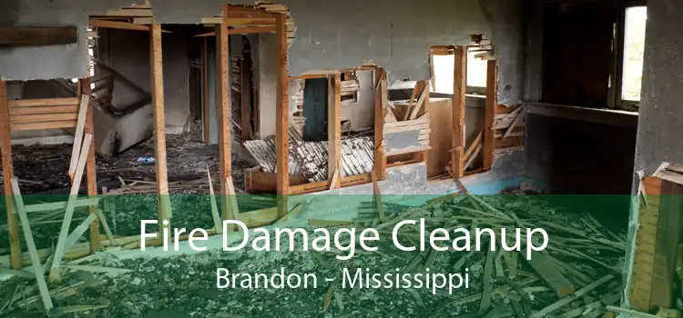Fire Damage Cleanup Brandon - Mississippi