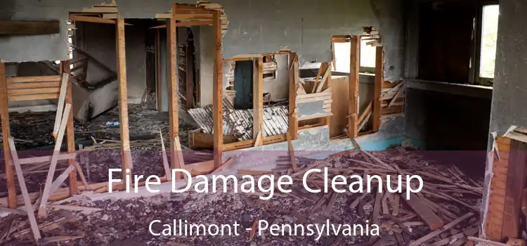 Fire Damage Cleanup Callimont - Pennsylvania