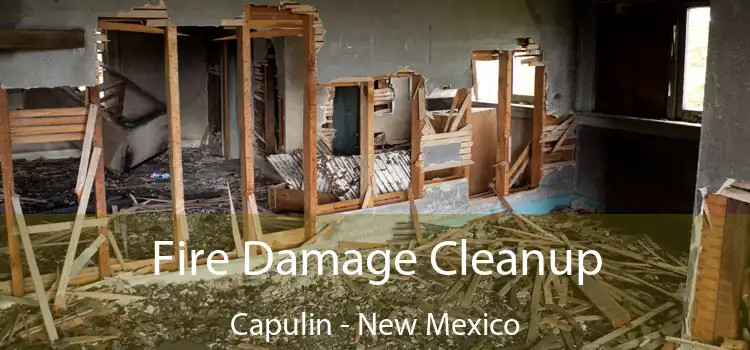 Fire Damage Cleanup Capulin - New Mexico