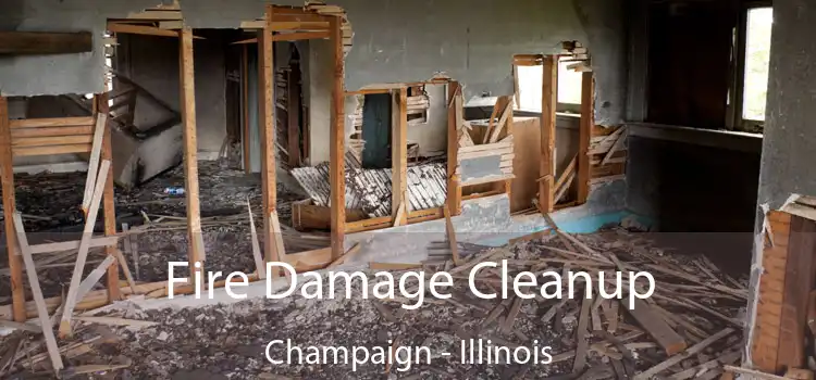 Fire Damage Cleanup Champaign - Illinois