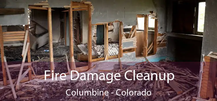 Fire Damage Cleanup Columbine - Colorado