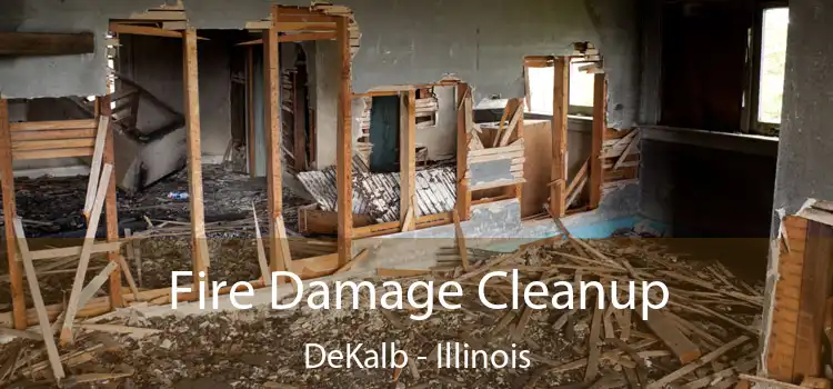 Fire Damage Cleanup DeKalb - Illinois