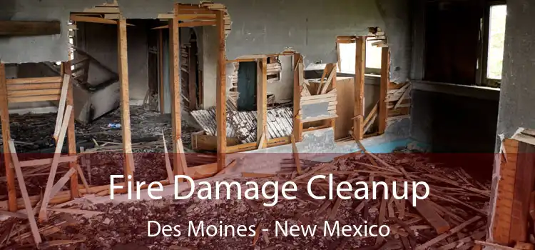 Fire Damage Cleanup Des Moines - New Mexico