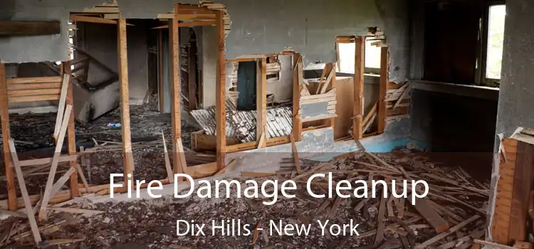 Fire Damage Cleanup Dix Hills - New York