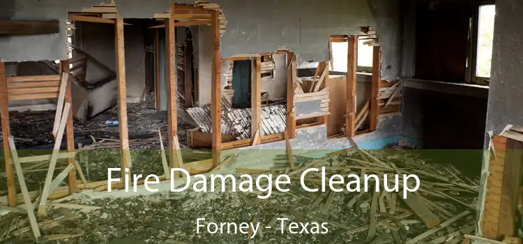 Fire Damage Cleanup Forney - Texas