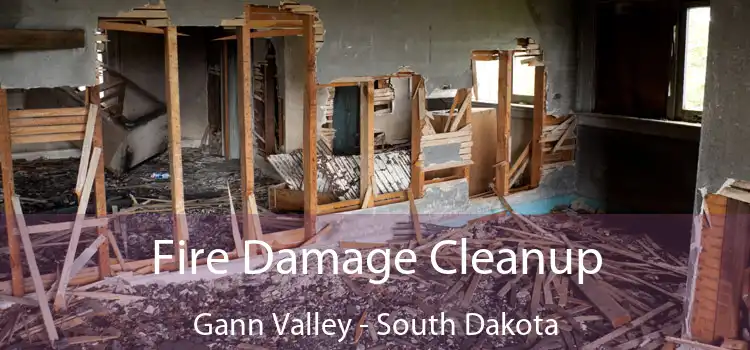 Fire Damage Cleanup Gann Valley - South Dakota