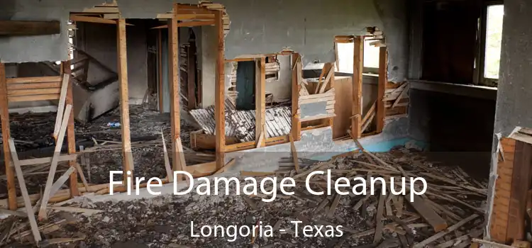 Fire Damage Cleanup Longoria - Texas