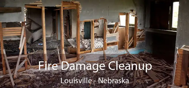 Fire Damage Cleanup Louisville - Nebraska