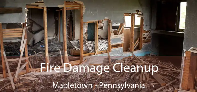 Fire Damage Cleanup Mapletown - Pennsylvania