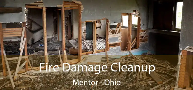 Fire Damage Cleanup Mentor - Ohio