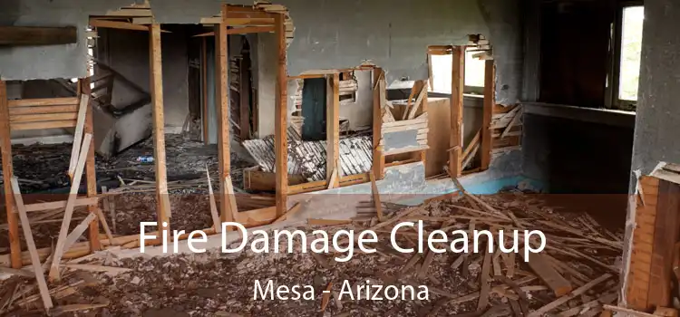 Fire Damage Cleanup Mesa - Arizona