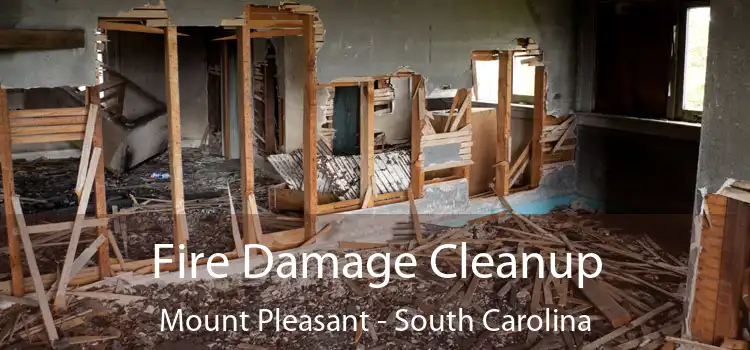 Fire Damage Cleanup Mount Pleasant - South Carolina