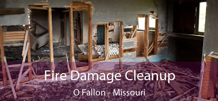 Fire Damage Cleanup O Fallon - Missouri