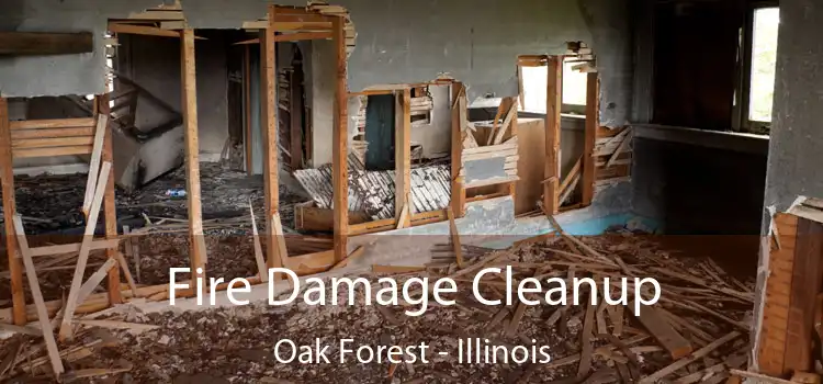 Fire Damage Cleanup Oak Forest - Illinois