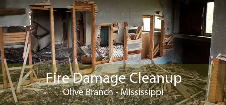 Fire Damage Cleanup Olive Branch - Mississippi