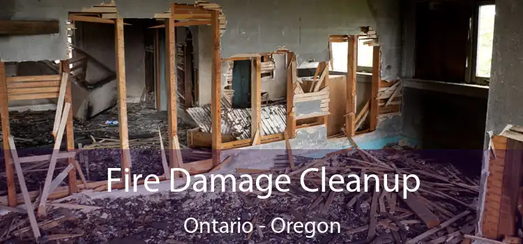 Fire Damage Cleanup Ontario - Oregon