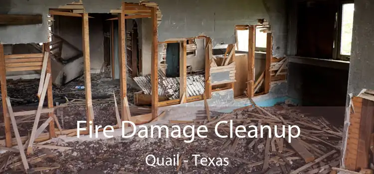 Fire Damage Cleanup Quail - Texas