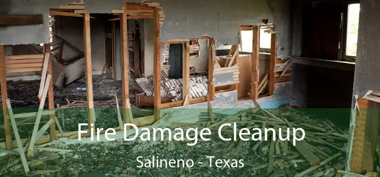 Fire Damage Cleanup Salineno - Texas