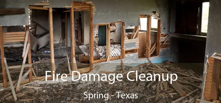 Fire Damage Cleanup Spring - Texas