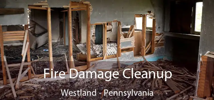 Fire Damage Cleanup Westland - Pennsylvania