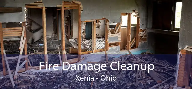 Fire Damage Cleanup Xenia - Ohio