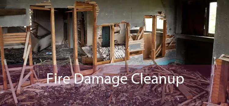 Fire Damage Cleanup 