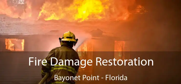 Fire Damage Restoration Bayonet Point - Florida