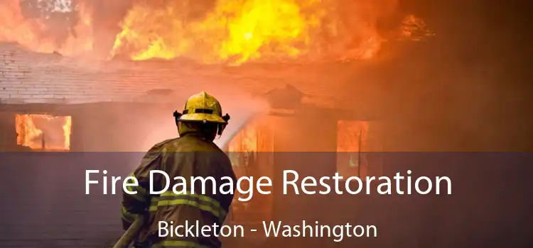 Fire Damage Restoration Bickleton - Washington