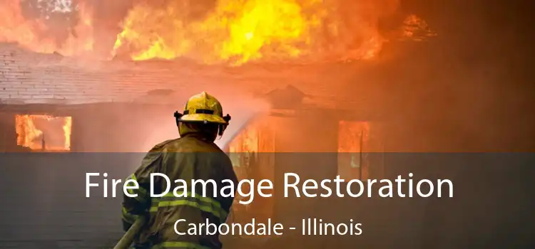 Fire Damage Restoration Carbondale - Illinois