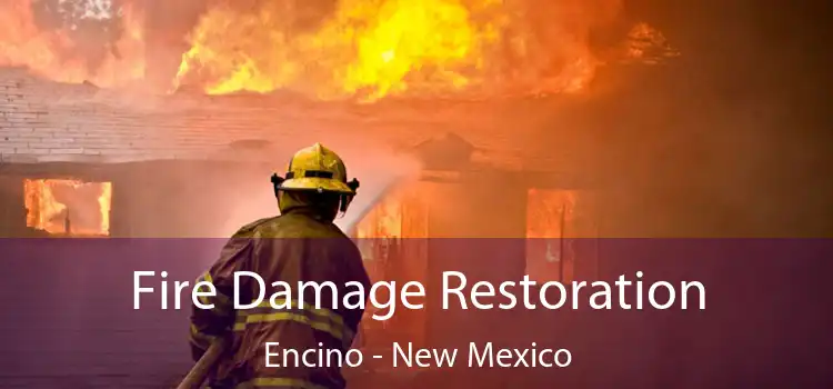 Fire Damage Restoration Encino - New Mexico