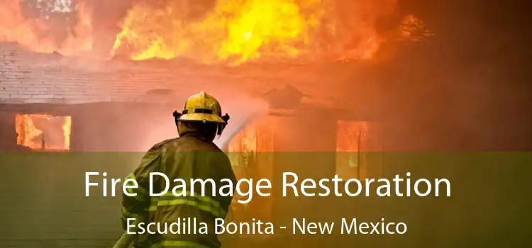 Fire Damage Restoration Escudilla Bonita - New Mexico