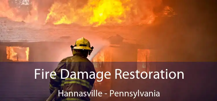 Fire Damage Restoration Hannasville - Pennsylvania