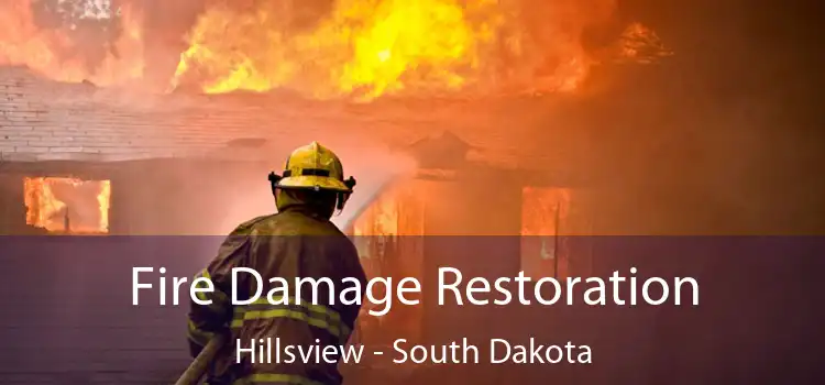 Fire Damage Restoration Hillsview - South Dakota