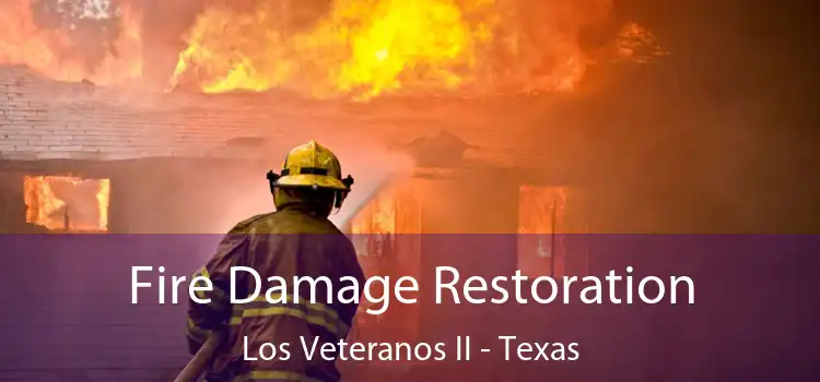 Fire Damage Restoration Los Veteranos II - Texas