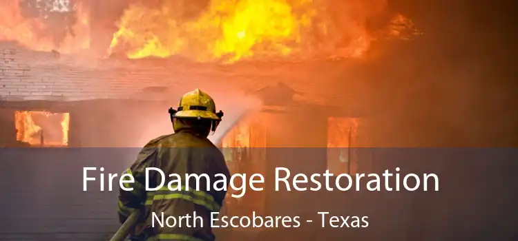 Fire Damage Restoration North Escobares - Texas