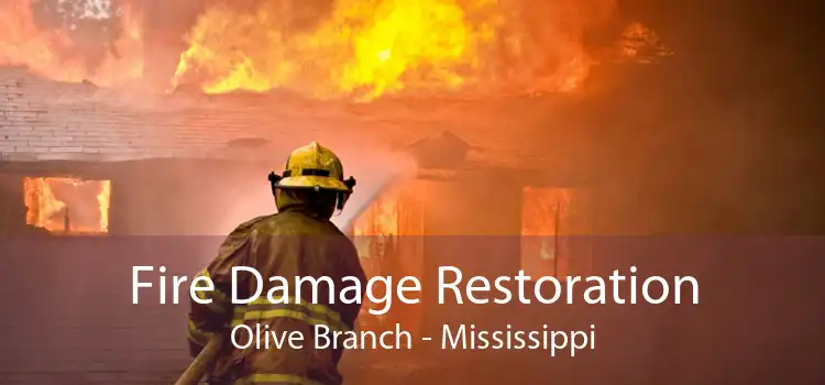 Fire Damage Restoration Olive Branch - Mississippi