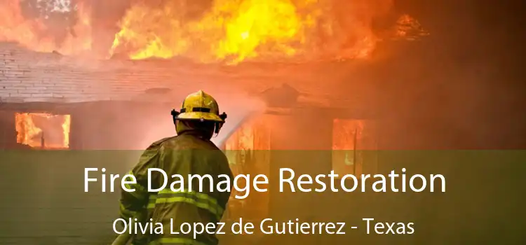 Fire Damage Restoration Olivia Lopez de Gutierrez - Texas