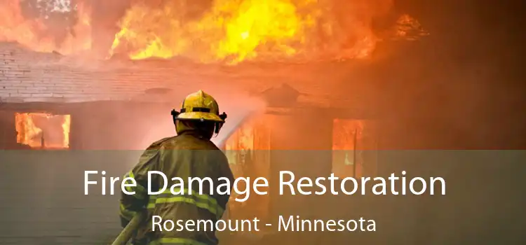 Fire Damage Restoration Rosemount - Minnesota