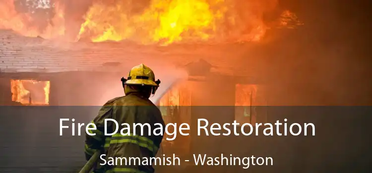 Fire Damage Restoration Sammamish - Washington