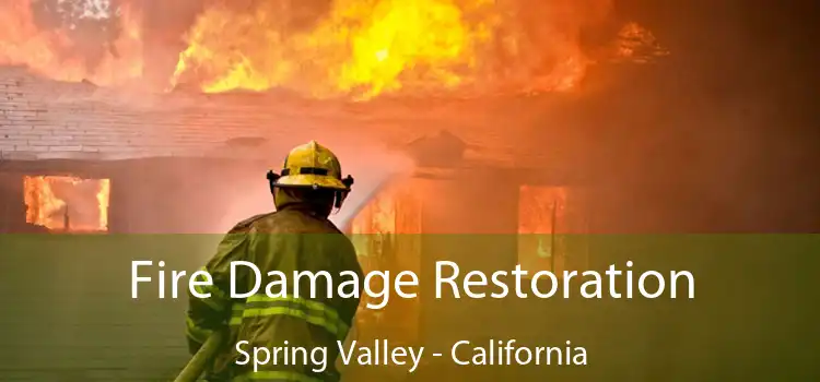 Fire Damage Restoration Spring Valley - California