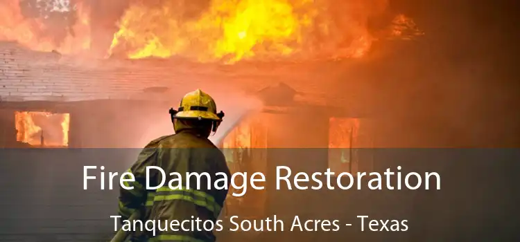 Fire Damage Restoration Tanquecitos South Acres - Texas